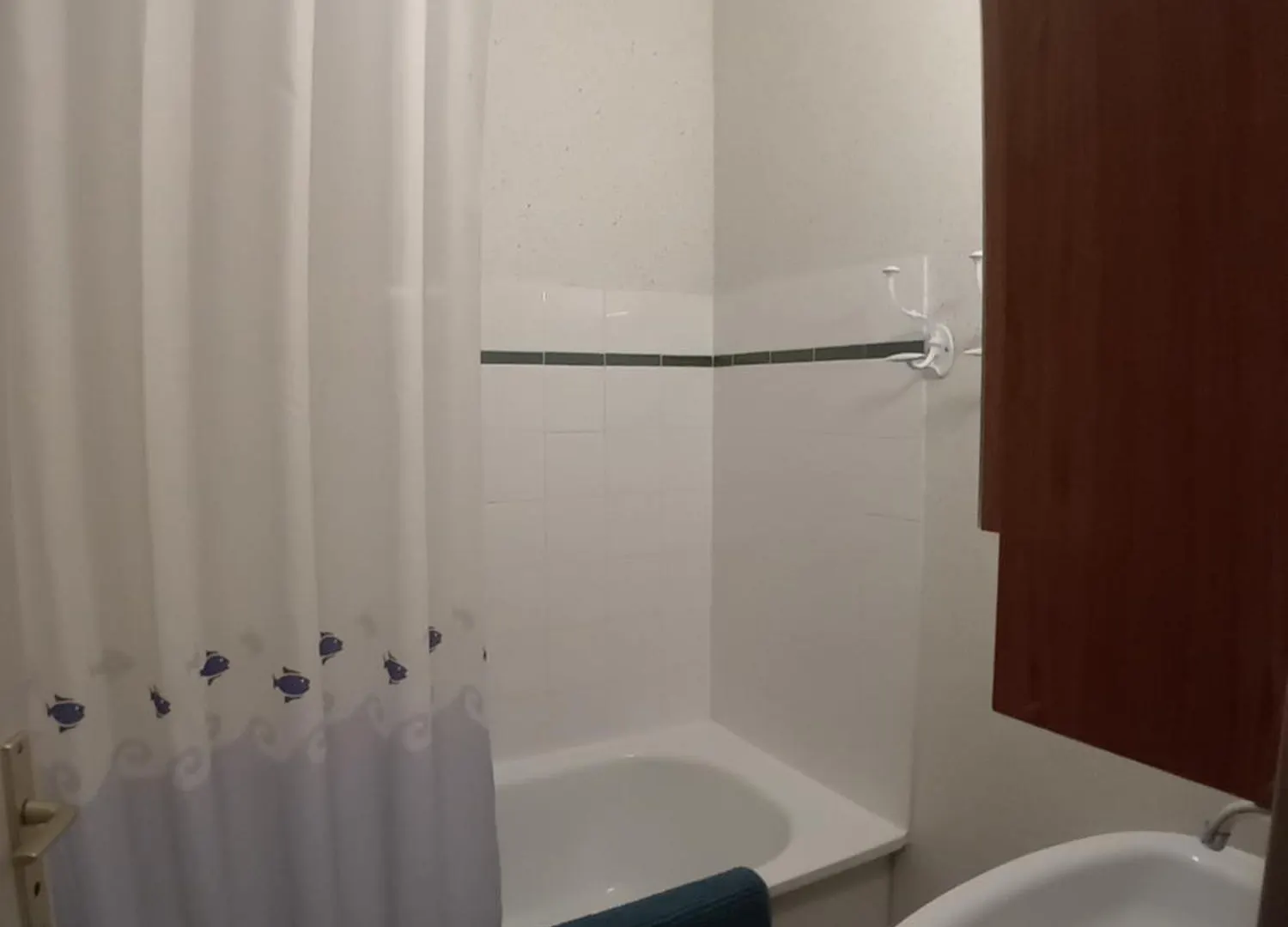Sur Le Gr10 Et Autres Sentiers A Aulus-Les-Bains Appartement