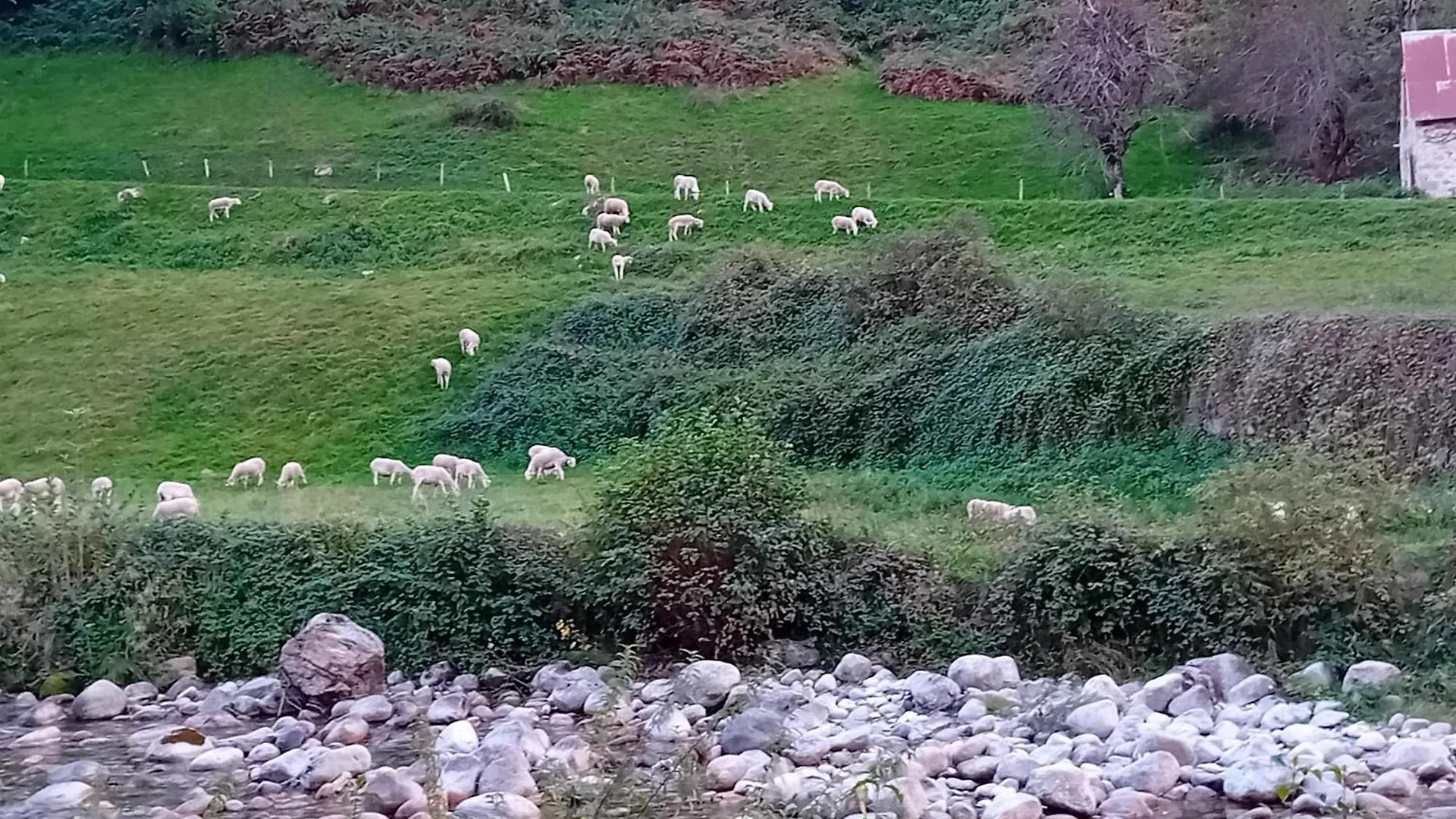 Sur Le Gr10 Et Autres Sentiers A Aulus-Les-Bains Appartement